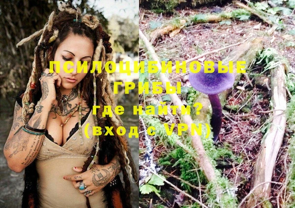 кокс Нея