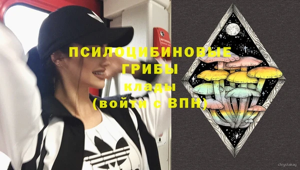 кокс Нея