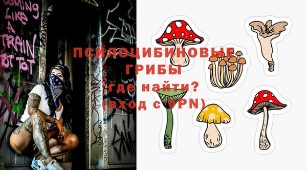 мдпв Нефтегорск