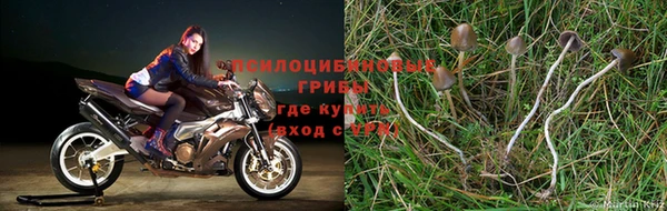 мдпв Нефтегорск