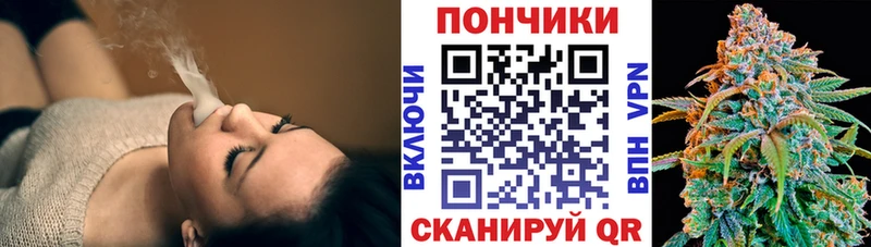 как найти   Бежецк  Канабис White Widow 